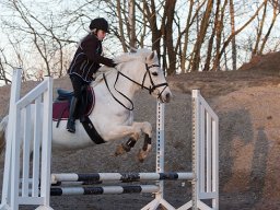 IMG-2198-039